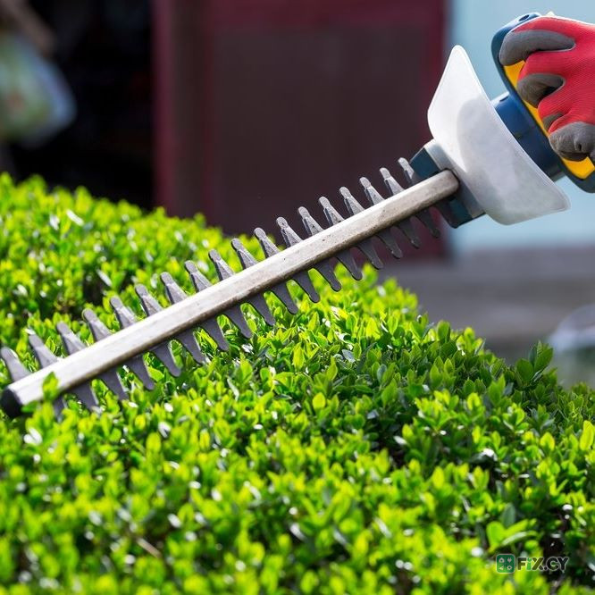 Paradise Gardening Services in Larnaca