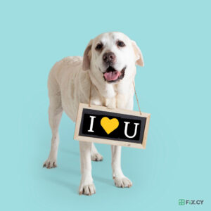 For Cats, Dogs & Love in Limassol