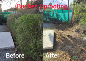 Professional Gardening Services in Larnaca