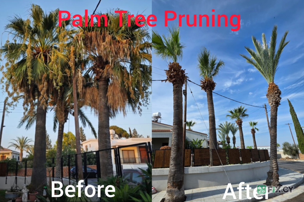 Professional Gardening Services in Larnaca