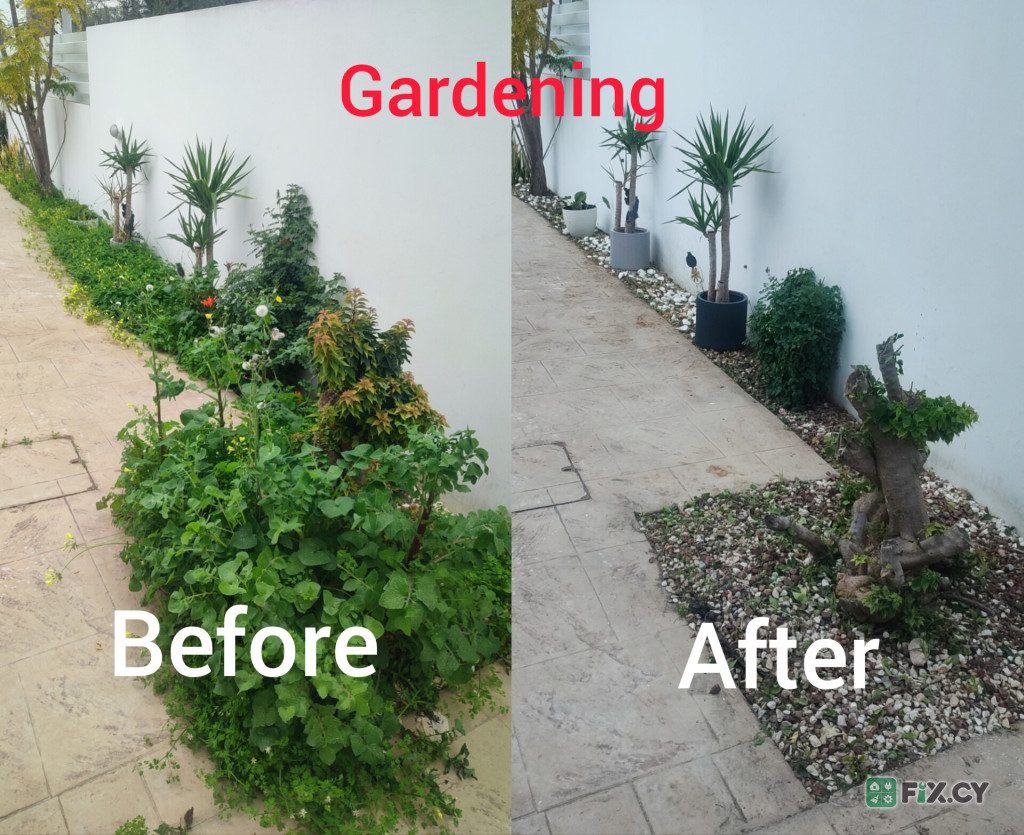 Professional Gardening Services in Larnaca