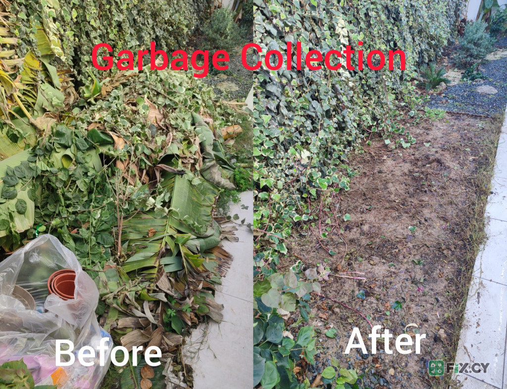 Professional Gardening Services in Larnaca