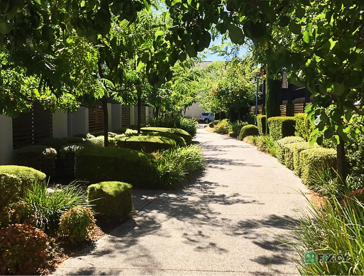 Gardener in Nicosia