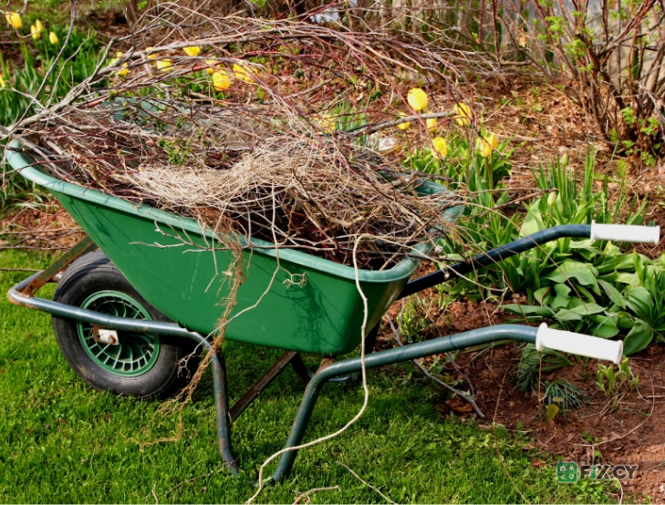 Gardener in Nicosia
