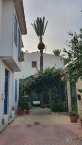 YNB Consulting Ltd in Nicosia