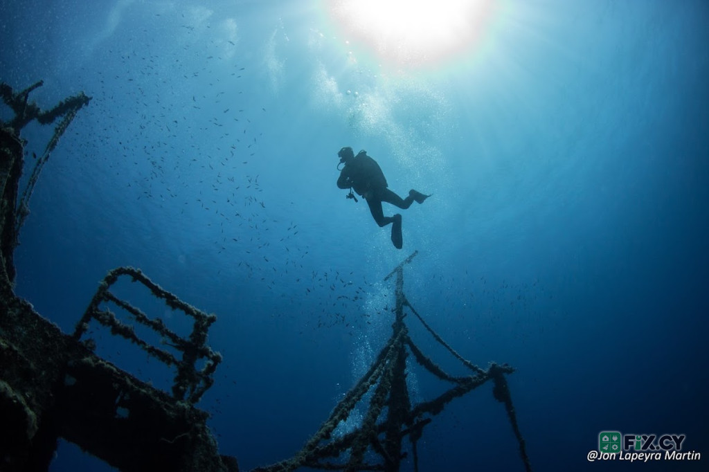 AP MARINE ENVIRONMENTAL CONSULTANCY LTD in Nicosia