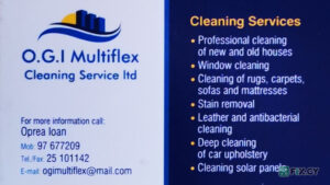 OGI MULTIFLEX CLEANING SERVICE LTD in Limassol