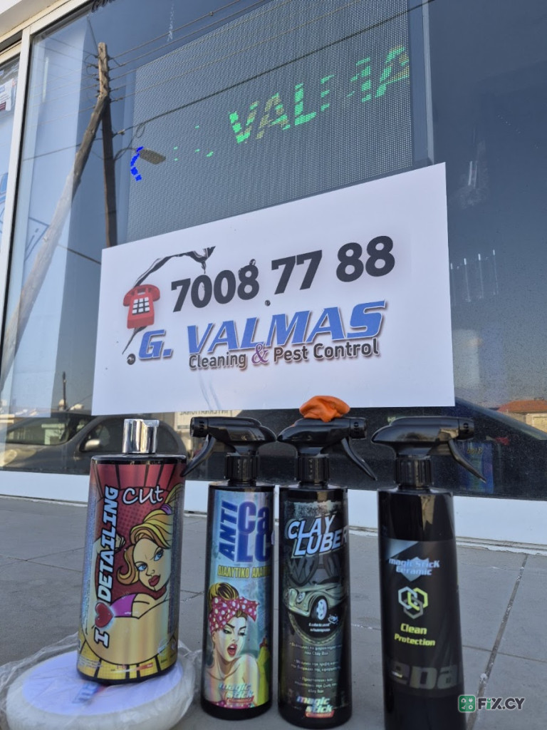 Magic Stick and G valmas cleaning and Pest control Ltd in Limassol