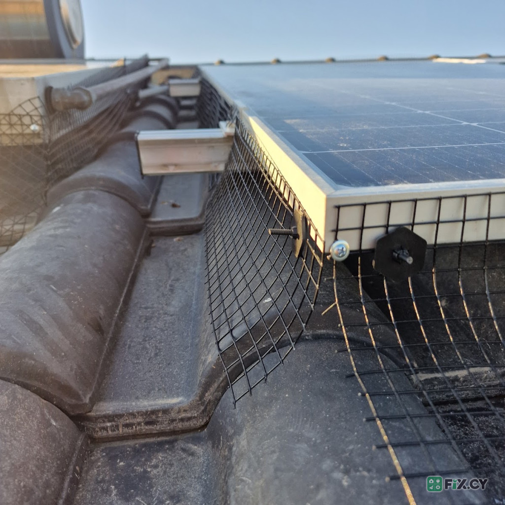 Pest Control Services in Paphos