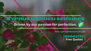 Cyprus Garden Services in Paphos