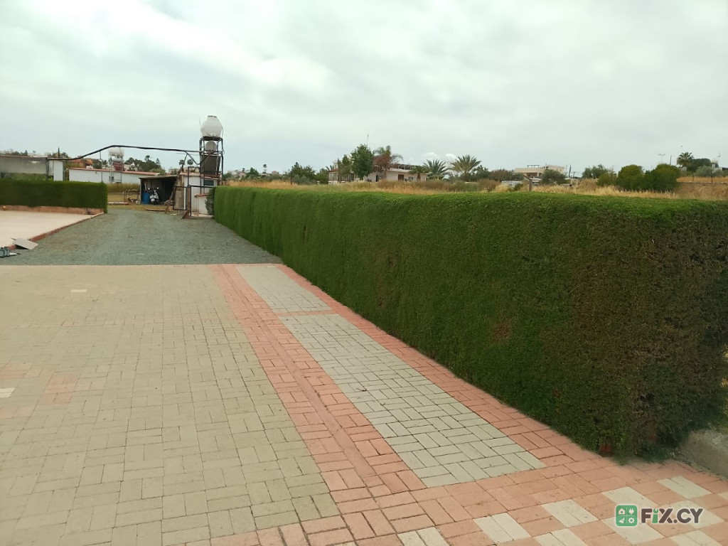 GARDEN MANN in Nicosia