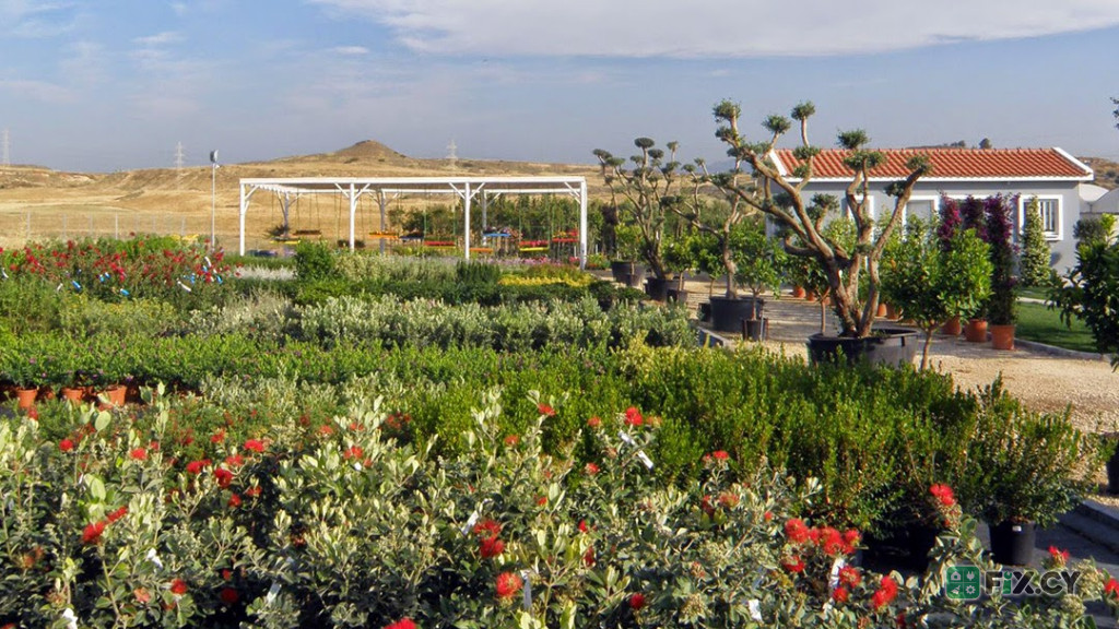 Garden world – Outdoor Creations in Nicosia