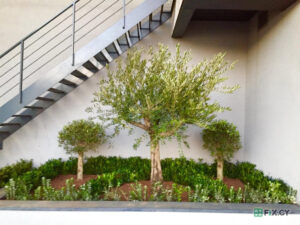 Gardening Quality Services in Paphos