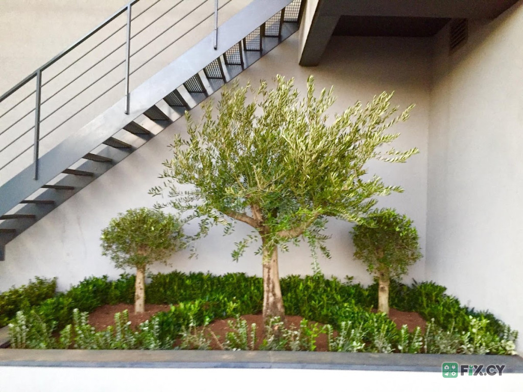 Gardening Quality Services in Paphos