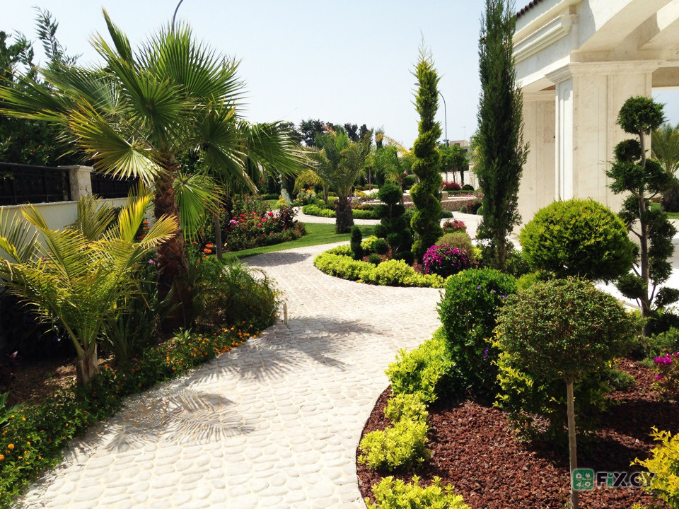 Green Forest in Paphos