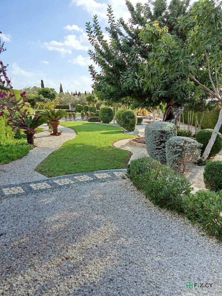 Gardener Martin in Paphos