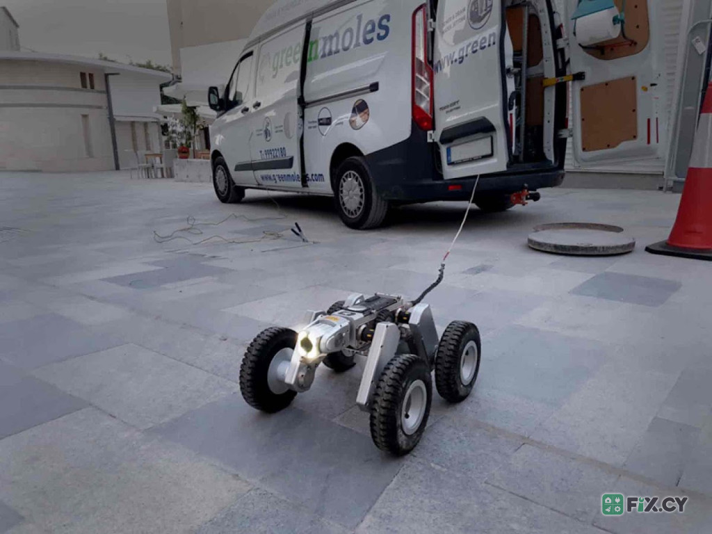GREEN MOLES LTD in Paphos