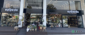 Epipedo Art and Design in Nicosia