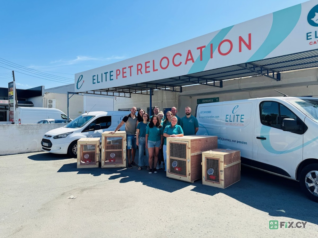 Elite Pet Relocation in Larnaca