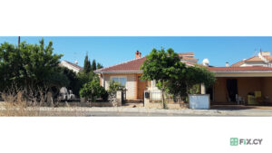 Φροντίζω | Frontizo – Care and Support in Nicosia