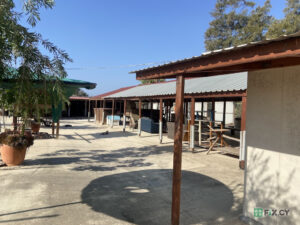 Argos Animal Sanctuary in Dhekelia