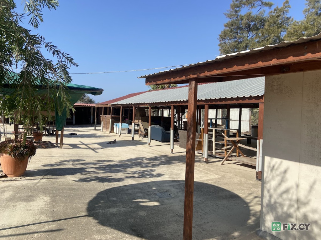 Argos Animal Sanctuary in Dhekelia